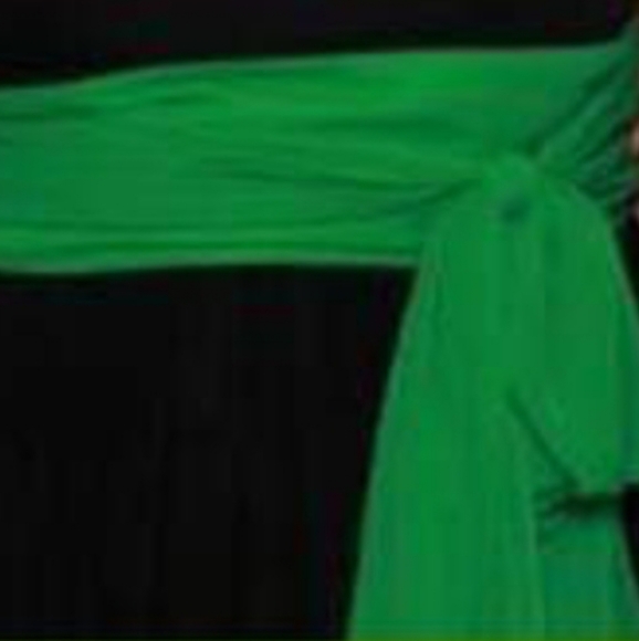 Alfred Angelo Long Chiffon Two Tone Bridesmaid Dress - Picture 3 of 10